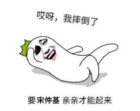 饭圈是什么意思，饭圈化是什么意思