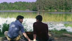 家禽和家畜的区别?