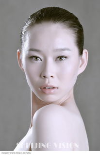 淡妆浓抹成语的意思