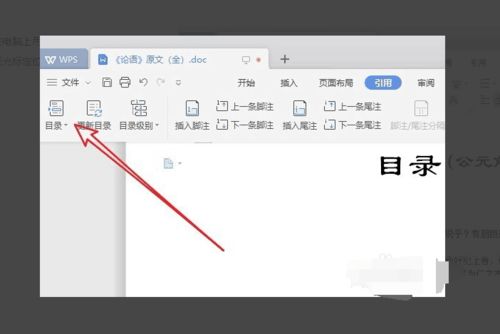 ps怎么用滚轮放大缩小图片