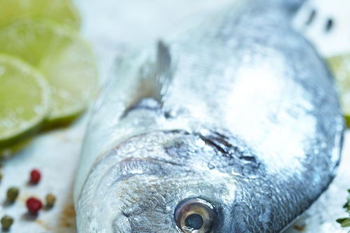 鳕鱼有刺吗,刺多吗