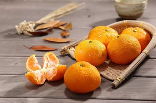 涌泉蜜桔几月份成熟