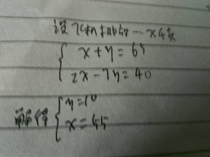 如何解二元一次方程组?