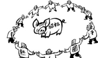 招投标里串标是什么意思?