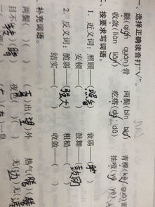 惊慌的反义词是