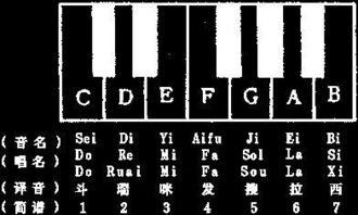 音符1234567怎么读?