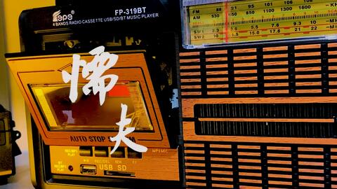 高分求 周杰伦《懦夫》歌词!