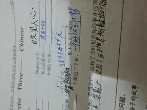 “外甥打灯笼”的下一句歇后语是什么?