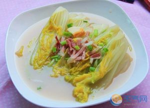 娃娃菜怎么做好吃