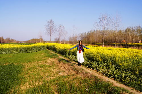 乡间小路的原唱是谁?