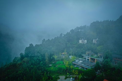气一个山念什么