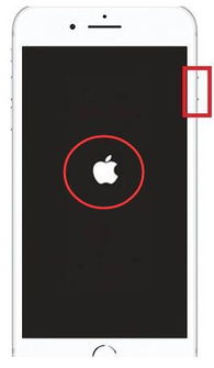 苹果8plus黑屏了怎么强制开机?