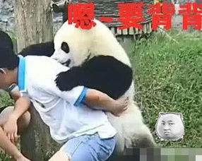 饲养员是什么意思