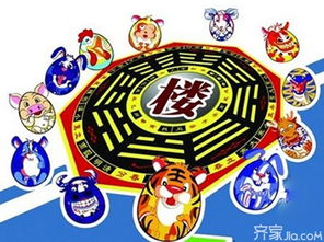 一九六五年属什么生肖