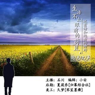 生活不止眼前的苟且 还有诗和远方的田野是什么歌
