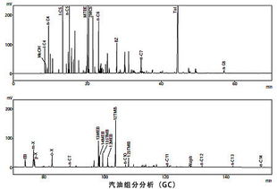 汽油主要化学成分