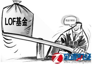 lof基金的优缺点,从这些方面来看