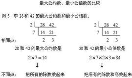 约数是什么?