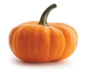 倭瓜是什么意思?