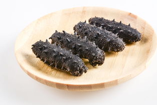 怎样泡发干海参的正确方法