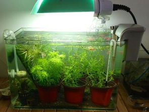 天拿水是什么，天拿水是什么成份