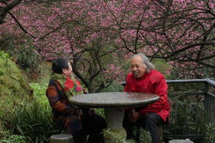 花甲指的是多少岁?