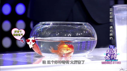 液氮是什么东西，液氮是什么东西提炼的