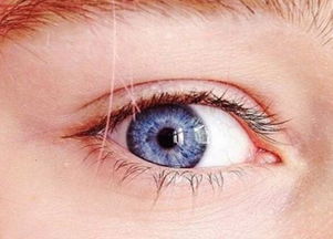 蓝眼睛的人，蓝眼睛的人是哪国人