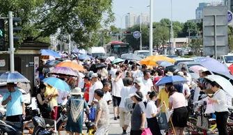 天津的劳务市场都在哪里