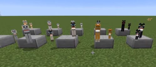 我的世界猫怎么驯服，我的世界豹猫怎么驯服