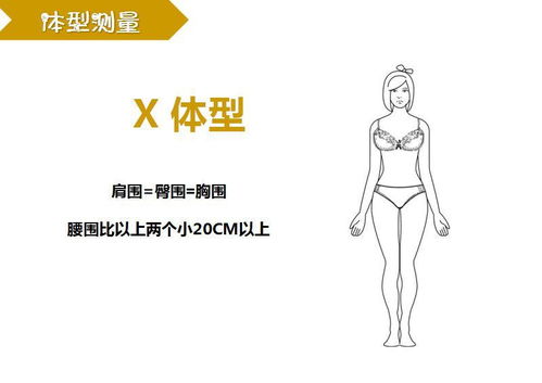 臀围怎么量，腰围怎么量