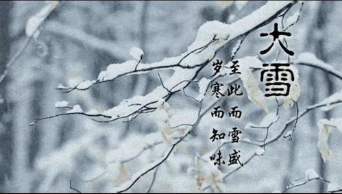 坚如什么，坚如什么四字成语