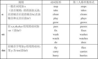副词后面接什么词，动词后面加什么