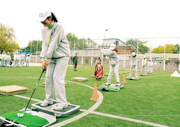 人肉高尔夫球玩法是什么意思，高尔夫玩法是什么