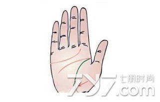 生命线末端分叉，生命线末端分叉为三条