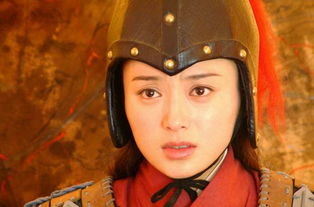 岳银瓶真有其人吗?
