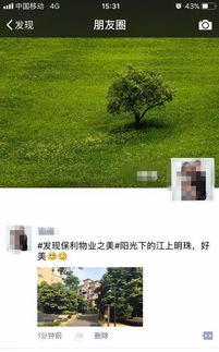 生活中从不缺少美,而是缺少发现美的眼是什么意思