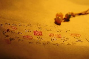 一弹指，一弹指白百何