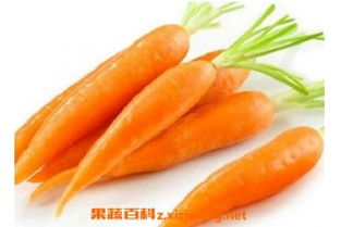 吃胡萝卜的好处和坏处