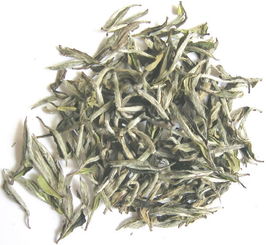 茶中贵族——白茶的功效和禁忌 让你全方位了解白茶
