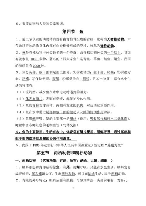 什么是提纲?