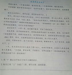 《战胜命运的孩子》概括文章主要内容 小学三年级