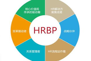 b2b有哪些电商平台?有朋友自己做独立站吗?