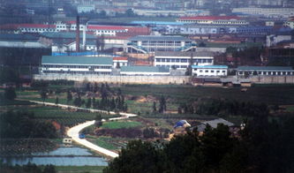 龙游县属于哪个市，金华龙游县属于哪个市