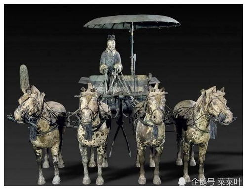 青铜之冠指的是什么