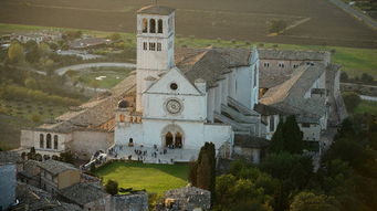 阿西西sissi是男的还是女的