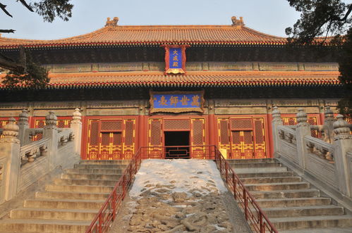 孔庙在哪?