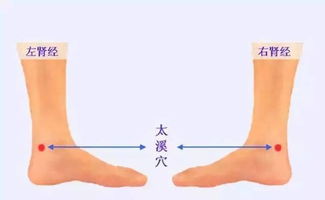 太溪穴的位置，太溪位置图