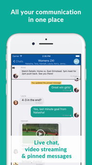 teamo是什么意思