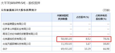 共管账户是什么意思
